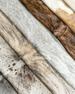 One of a Kind Cowhides
