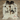 Tricolor Light Cowhide rug (Size 6'4'' x  7'0'') HB0038 EXACT HIDE SHOWN.
