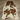 Brown And White Cowhides rug (Size 6'4'' x  7'0'') HB0057