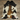 Exotic Cowhides rug (Size 6'0'' x  7'0'') HB0074