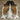 Brown Salt And Pepper Cowhide Rug (Size 7'0'' x  7'0'') HBA012 EXACT HIDE SHOWN.