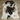 Exotic Cowhide Rug (Size 6'8'' x  6'3'') HBA023 EXACT HIDE SHOWN.