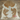 Exotic Cowhide Rug (Size 7'0'' x  6'3'') HBA025 EXACT HIDE SHOWN.