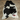 Black And White Cowhide Rug (Size 6'5'' x  7'0'') HBA054 EXACT HIDE SHOWN.