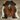 Exotic Cowhide Rug (Size 7'0'' x  7'0'') HBA057 EXACT HIDE SHOWN.
