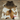 Exotic Cowhide Rug (Size 6'3'' x  6'0'') HBA078 EXACT HIDE SHOWN.